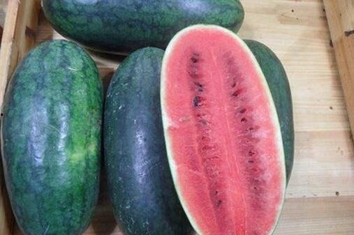 吃料黑瓜网,美食探索之旅